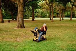 perception and misperception 