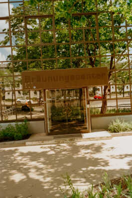 perception and misperception 