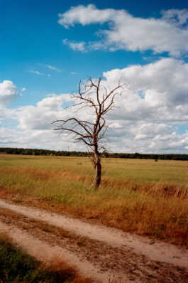 perception and misperception 