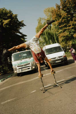 perception and misperception 