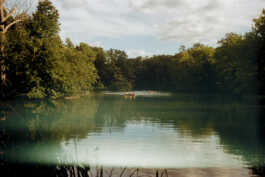 perception and misperception 