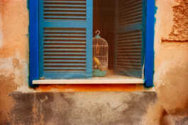 perception and misperception 