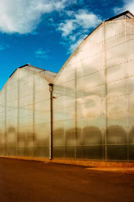 perception and misperception 