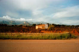 perception and misperception 