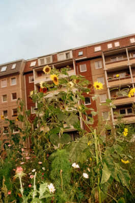 perception and misperception 