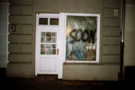 perception and misperception 