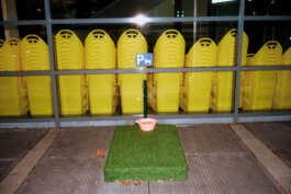 perception and misperception 