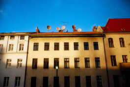 perception and misperception 