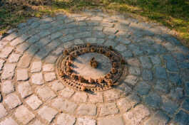 perception and misperception 