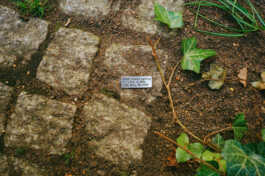 perception and misperception 