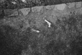 perception and misperception 