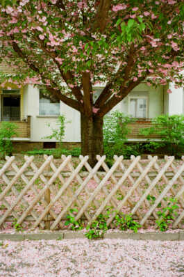 perception and misperception 