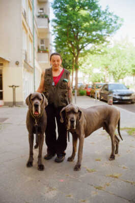 perception and misperception 