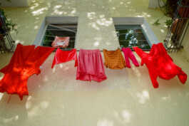 perception and misperception 