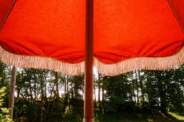 perception and misperception 