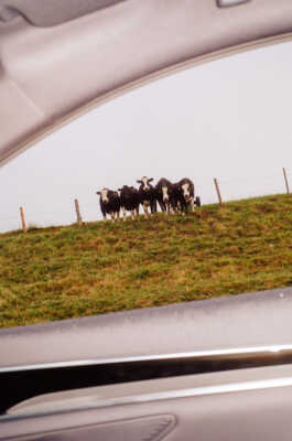 perception and misperception 