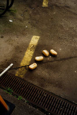 perception and misperception 